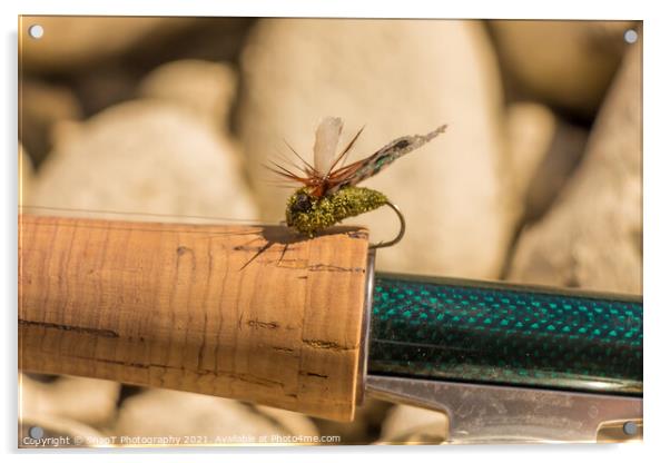 A macro shot of an artificial cicada fly for fishing for trout Acrylic by SnapT Photography
