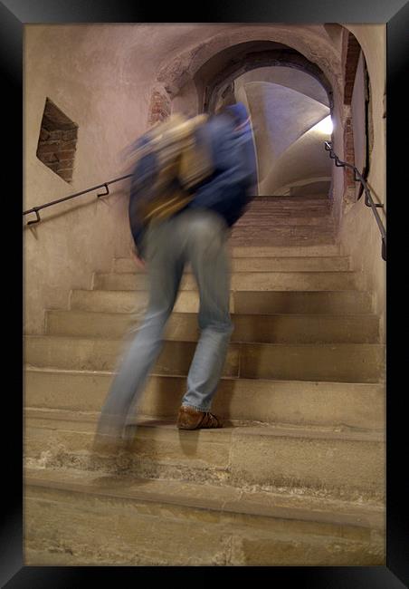 Up the Stairs in Prague Castle Framed Print by Serena Bowles