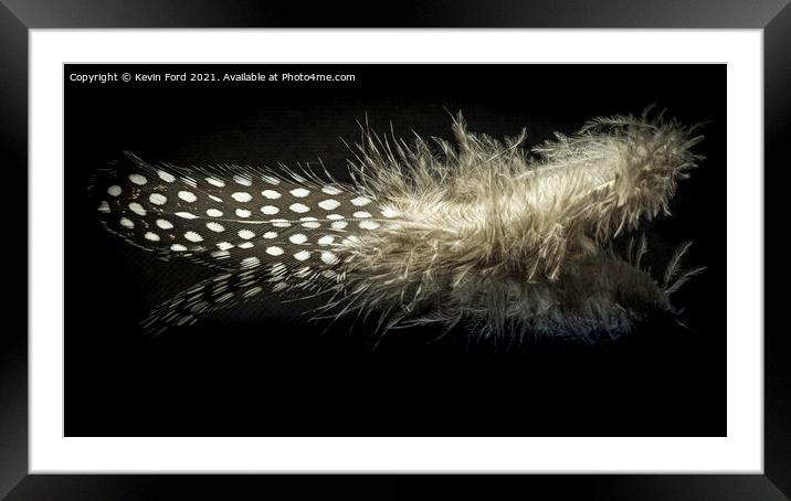Guinea Fowl Feather Framed Mounted Print by Kevin Ford