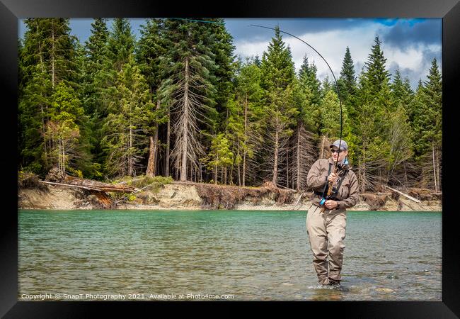 Closeup of a sport fly fisherman hooked into a salmon on a river in British Columbia Framed Print by SnapT Photography