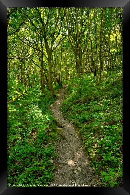 A walk in the woods Framed Print by Gordon Maclaren