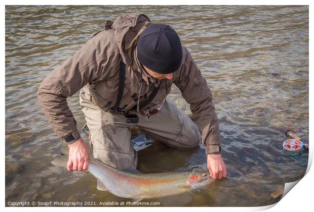 An angler unhooking a fly from a steelhead in the morning spring sun Print by SnapT Photography