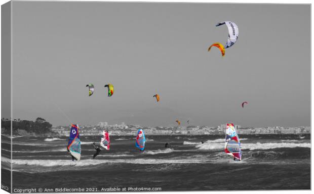 Windsurfers and Kite surfers on Palm Beach with selective colors Canvas Print by Ann Biddlecombe