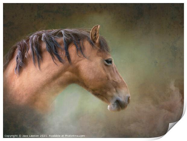 Tousled Bay pony Print by Jaxx Lawson