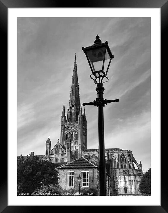 Norwich Cathedral black and white  Framed Mounted Print by Sally Lloyd