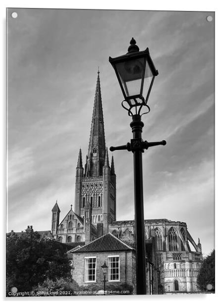 Norwich Cathedral black and white  Acrylic by Sally Lloyd