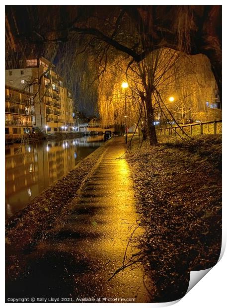 Norwich Nights - The Wensum Willows Print by Sally Lloyd
