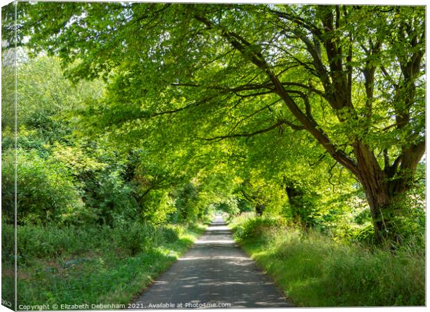 Road to Dancers End Canvas Print by Elizabeth Debenham