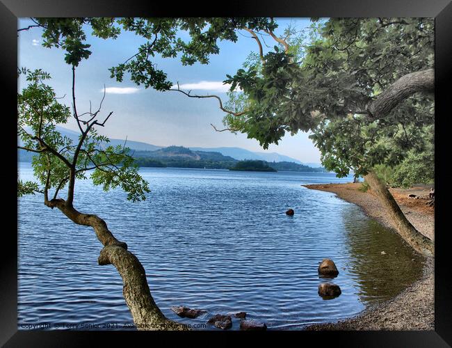 HDR image of a lake in the Lake District Cumbria  Framed Print by Terry Senior