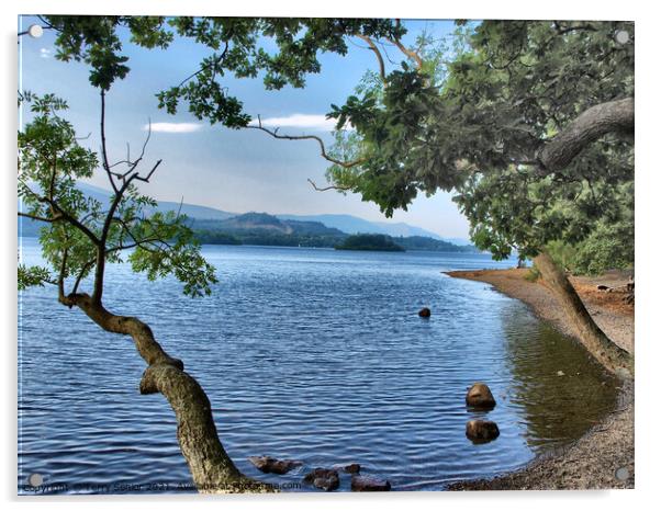 HDR image of a lake in the Lake District Cumbria  Acrylic by Terry Senior