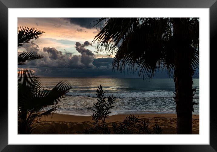 Dramatic sunset over the sea with palm trees. Framed Mounted Print by Sergey Fedoskin