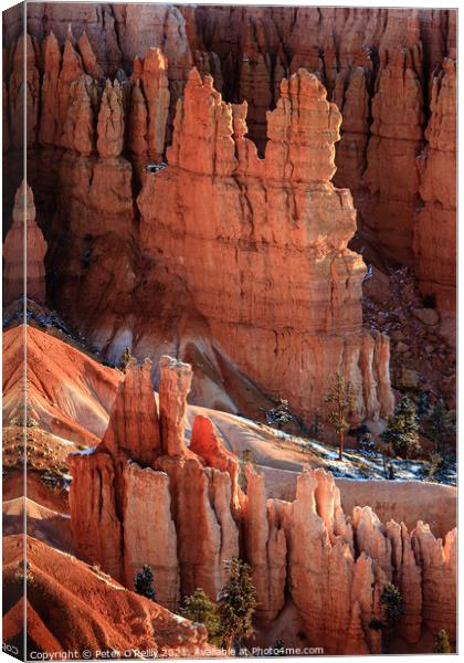 Sunrise at Bryce Canyon #4 Canvas Print by Peter O'Reilly
