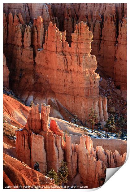 Sunrise at Bryce Canyon #4 Print by Peter O'Reilly