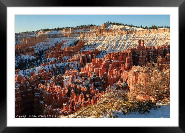 Snow in Bryce Canyon Framed Mounted Print by Peter O'Reilly