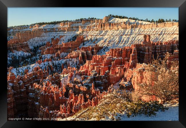 Snow in Bryce Canyon Framed Print by Peter O'Reilly