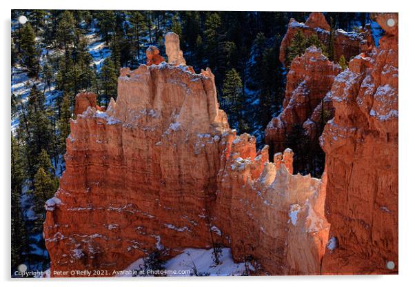 Bryce Canyon Hoodoos Acrylic by Peter O'Reilly