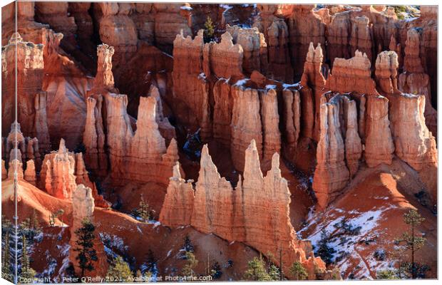 Bryce Canyon Hoodoos Canvas Print by Peter O'Reilly