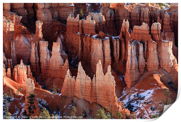 Bryce Canyon Hoodoos Print by Peter O'Reilly