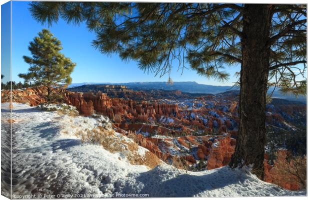 Bryce Canyon, Utah Canvas Print by Peter O'Reilly