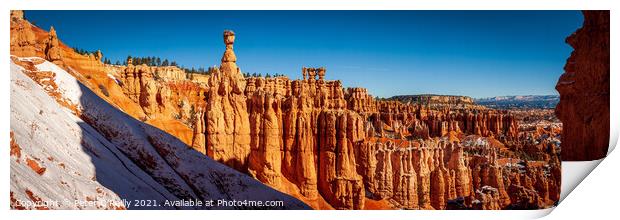 Bryce Canyon, Utah Print by Peter O'Reilly
