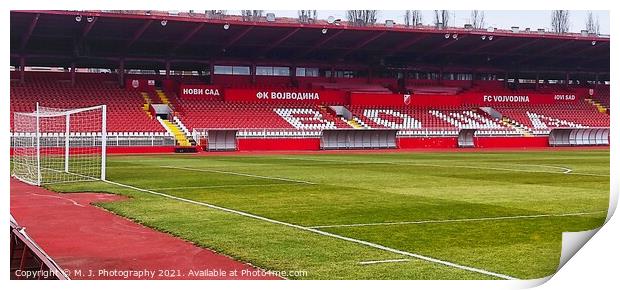 Outdoor sportsfield Fc Vojvodina Print by M. J. Photography