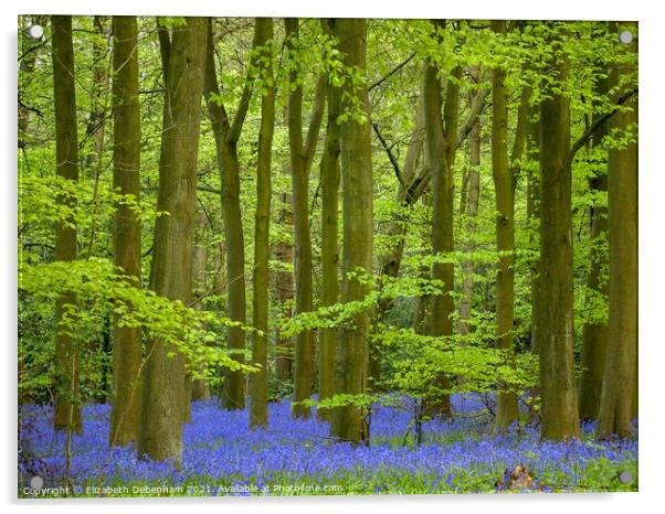 Bluebell Woodland Acrylic by Elizabeth Debenham