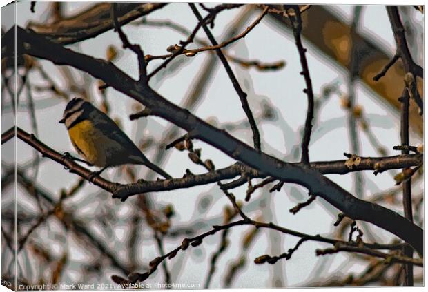 Great Tit in Branches Canvas Print by Mark Ward