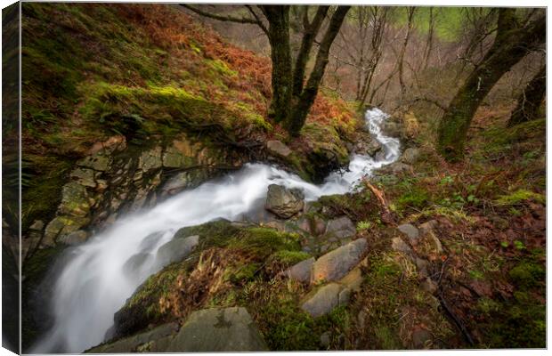 A large waterfall in a forest Canvas Print by Leighton Collins