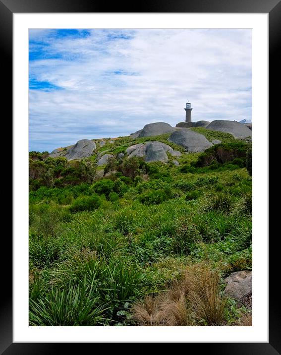 Montague Island Lighthouse - Australia 5 Framed Mounted Print by Steven Ralser