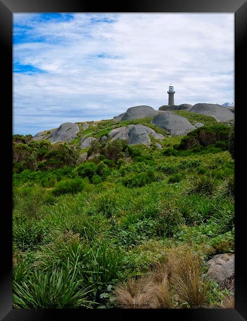 Montague Island Lighthouse - Australia 5 Framed Print by Steven Ralser