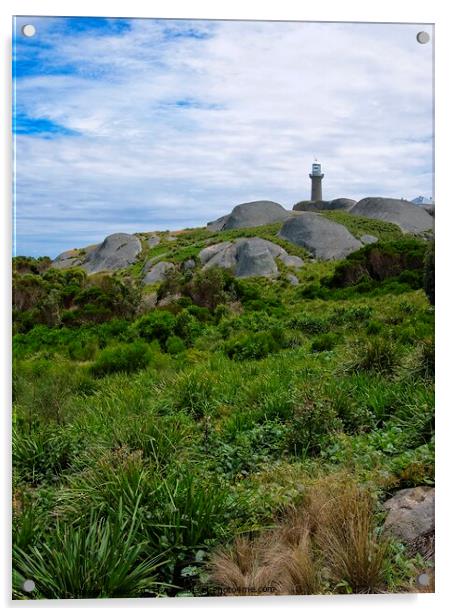 Montague Island Lighthouse - Australia 5 Acrylic by Steven Ralser