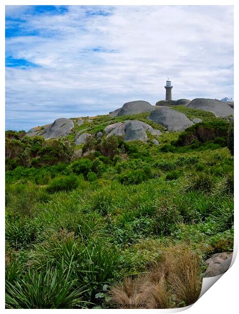 Montague Island Lighthouse - Australia 5 Print by Steven Ralser