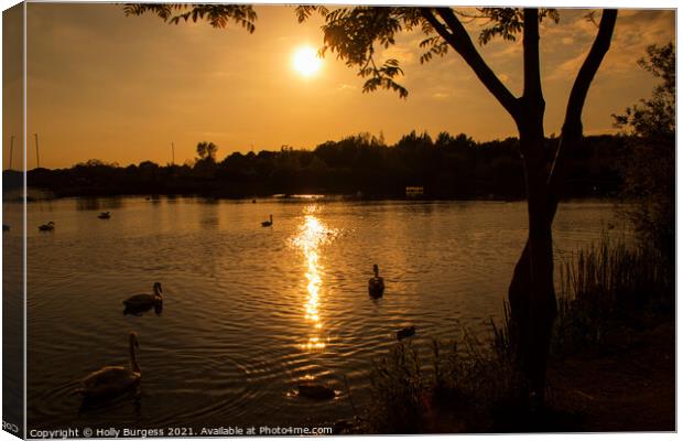 Sunset on Swan lake Derbyshire  Canvas Print by Holly Burgess