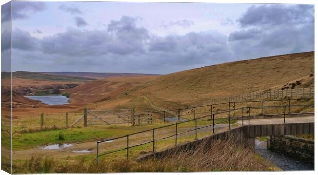 The Yorkshire Moors Pennine way Holmfirth Canvas Print by Roy Hinchliffe
