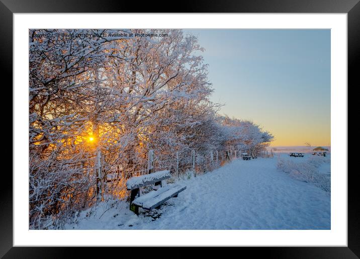 Winter sunrise  Framed Mounted Print by David Oxtaby  ARPS