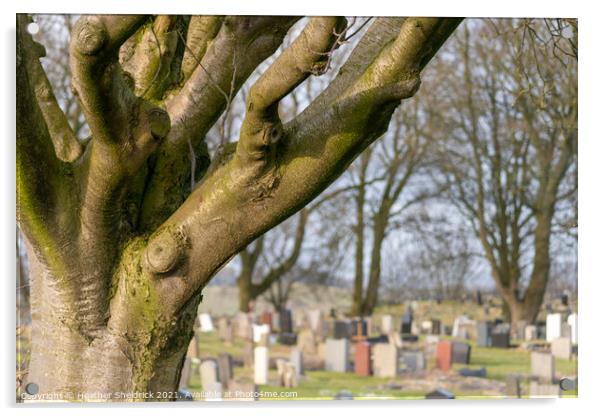 Cemetery with tree Acrylic by Heather Sheldrick