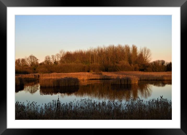 View from the Reedbed Hide at the RSPB Fowlmere Na Framed Mounted Print by Peter Wiseman