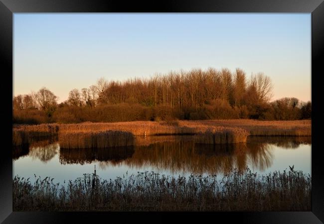 View from the Reedbed Hide at the RSPB Fowlmere Na Framed Print by Peter Wiseman