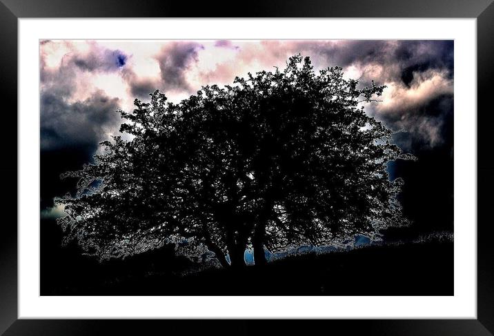 Silhouetted Tree Framed Mounted Print by Peter Wiseman