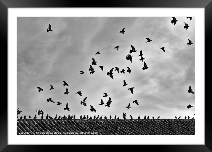 Aiming the Sky in Monochrome Framed Mounted Print by Angelo DeVal