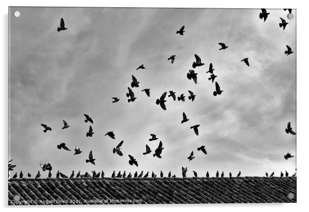 Aiming the Sky in Monochrome Acrylic by Angelo DeVal