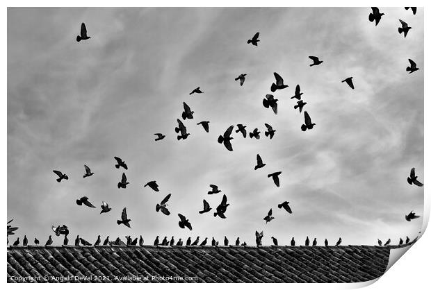 Aiming the Sky in Monochrome Print by Angelo DeVal