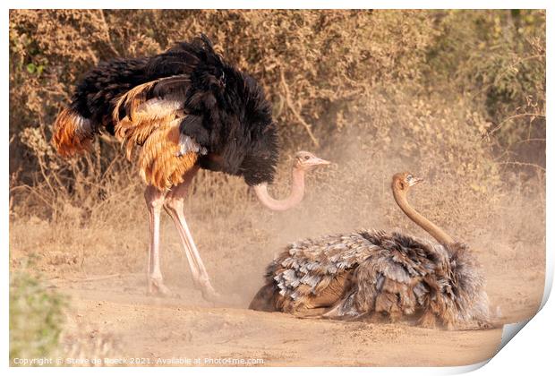 Two Ostriches in mating ritual Print by Steve de Roeck