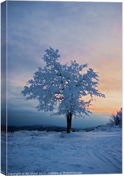 Tree covered in snow Canvas Print by Nic Croad