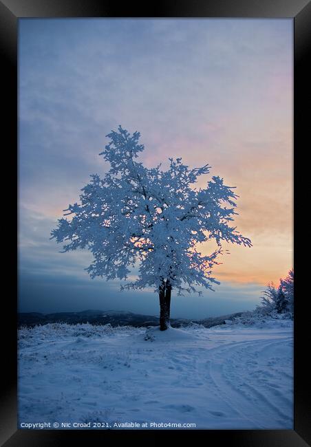 Tree covered in snow Framed Print by Nic Croad