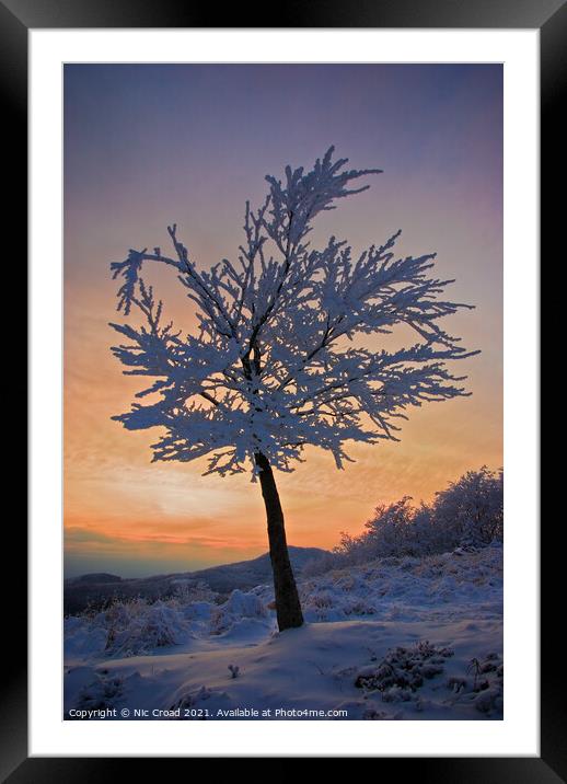 A tree in the snow at sunset Framed Mounted Print by Nic Croad