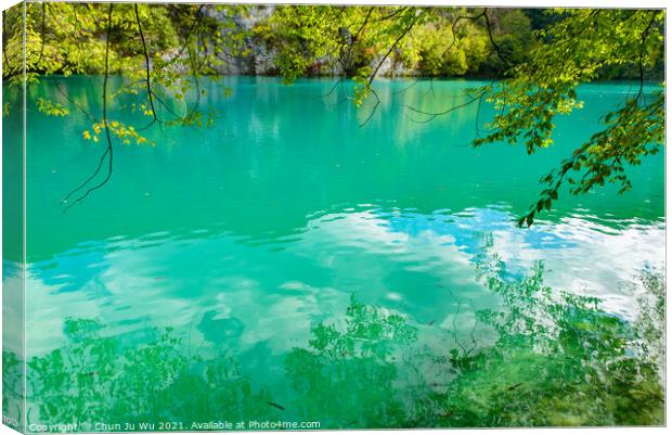 Plitvice Lakes National Park (Plitvička Jezera) with turquoise lake, Croatia Canvas Print by Chun Ju Wu