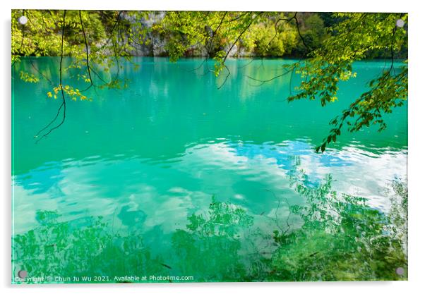 Plitvice Lakes National Park (Plitvička Jezera) with turquoise lake, Croatia Acrylic by Chun Ju Wu
