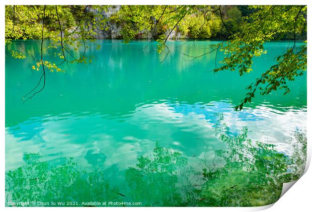 Plitvice Lakes National Park (Plitvička Jezera) with turquoise lake, Croatia Print by Chun Ju Wu
