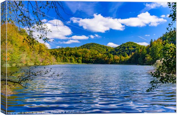 Plitvice Lakes National Park (Plitvička Jezera) with turquoise lake, Croatia Canvas Print by Chun Ju Wu